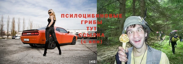 стафф Красноперекопск