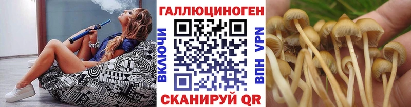 Купить  Череповец  Псилоцибиновые грибы Psilocybine cubensis 